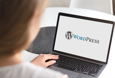 WordPress-development